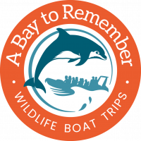 A Bay to Remember logo