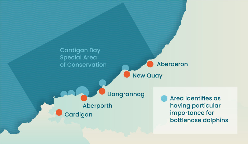 Cardigan Bay Special Area of Conservation